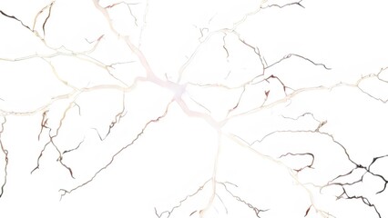 electricity lightning isolated