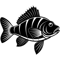 climbing perch fish silhouette Vector SVG