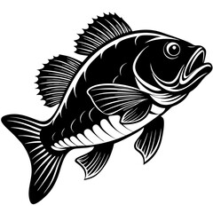 climbing perch fish silhouette Vector SVG