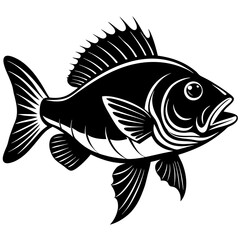 climbing perch fish silhouette Vector SVG