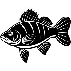climbing perch fish silhouette Vector SVG