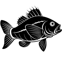 climbing perch fish silhouette Vector SVG