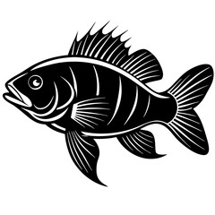 climbing perch fish silhouette Vector SVG