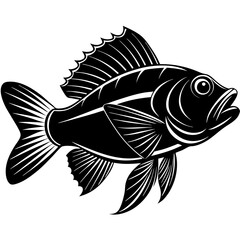 climbing perch fish silhouette Vector SVG