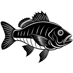 climbing perch fish silhouette Vector SVG
