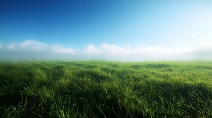 Expansive meadow under a tranquil morning sky with lush green grass and atmospheric mist