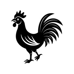 rooster isolated on white