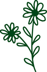 Hand drawn plant doodle elements