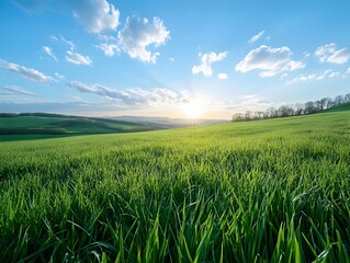 Fototapeta premium Early Morning Serene Countryside Landscape with Lush Green Meadow and Dramatic Sky