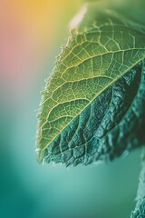 Macroscopic view of nature topped with a minimalist abstract aura AI generated illustration