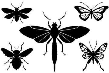 Detailed Insect Silhouettes Vector Art Illustration