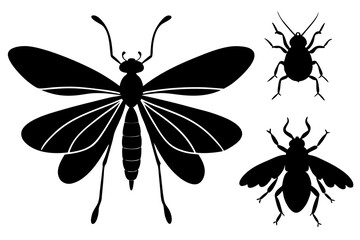 Detailed Insect Silhouettes Vector Art Illustration