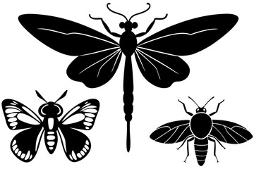 Detailed Insect Silhouettes Vector Art Illustration