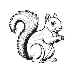 Squirrel line art vector silhouette with white Background