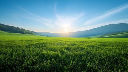 Fototapeta premium Early Morning Serenity in a Vast Green Meadow with Clear Mountain Backdrop