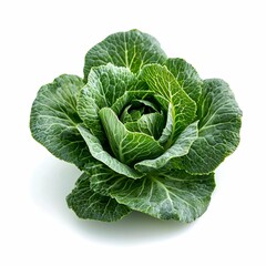 Obraz premium Fresh Green Cabbage Head Isolated on White Background