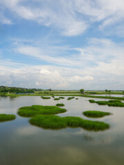Grass into water in rainy seasons. 