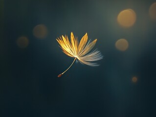 Dandelion Seed in Flight