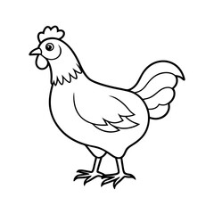 Chicken Line Art vector illustration