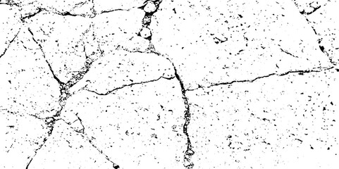 The cracks texture white and black. Vector background. Desert backdrop. Cracks in dry surface cement texture