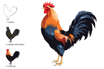 A highly detailed and realistic vector illustration of a rooster, perfect for branding, educational materials, or custom designs. Fully editable to suit a wide range of creative projects