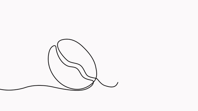 Coffee beans animation. Coffee grain continuous line drawing animated video.