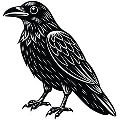 Beautiful Raven Crow Vector Illustration &ndash; Dark Bird Silhouette Art for Gothic, Nature, Halloween, and Fantasy Projects with Bold Black Feathers and Elegant Profile