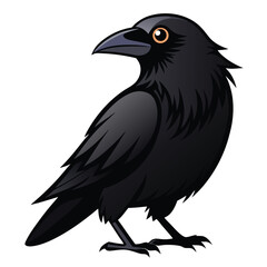 Beautiful Raven Crow Vector Illustration – Dark Bird Silhouette Art for Gothic, Nature, Halloween, and Fantasy Projects with Bold Black Feathers and Elegant Profile