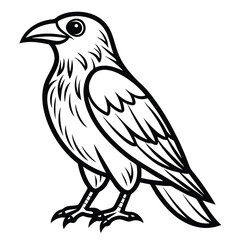 Fototapeta premium Beautiful Raven Crow Vector Illustration – Dark Bird Silhouette Art for Gothic, Nature, Halloween, and Fantasy Projects with Bold Black Feathers and Elegant Profile