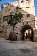 Suspended Orange Tree in the ancient street, Jaffa, Israel. A tree in an pot suspended by metal chains from the walls of houses nearby. Created by Israeli artist Ran Morin in 1993