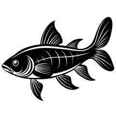 catla fish silhouette Vector