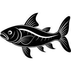 catla fish silhouette Vector