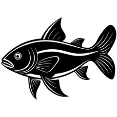catla fish silhouette Vector