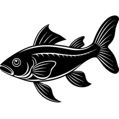 catla fish silhouette Vector