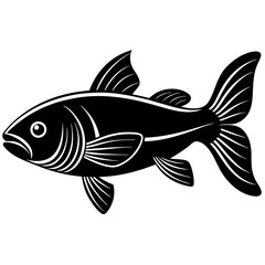 catla fish silhouette Vector