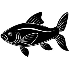 catla fish silhouette Vector