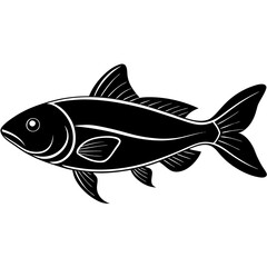 catla fish silhouette Vector