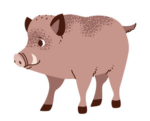 Wild boar isolated on white background. Forest pig. Flat vector illustration