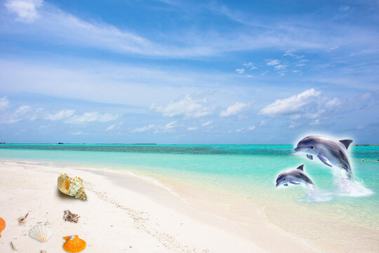 Beautiful tropical empty beach sea ocean with white cloud on blu