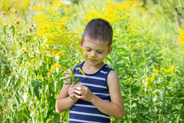 boy ambrosia allergy. Selective focus