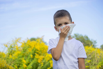 boy ambrosia allergy. Selective focus