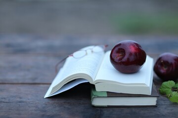 Books and red apple, copy space, horizontal, free space, outdoors, background