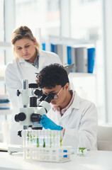 Science, lab and woman with plants by microscope for biochemistry research, sample and study....