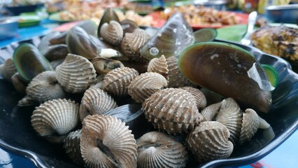  A close-up view of a variety of freshly prepared shellfish, including clams and cockles, on a plate. The assortment showcases the textures and colors of the seafood, perfect for culinary imagery.