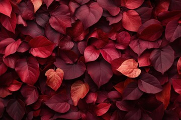 Red and brown autumn leaves texture background. Red, orange, purple fall foliage backdrop. Autumn leaf pile. Red oak, ivy, rose bush leaves pattern.