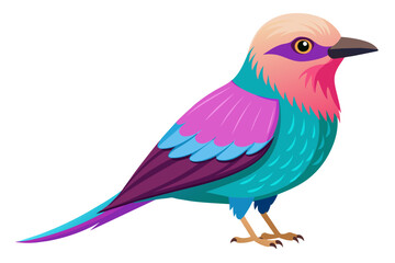 Lilac breasted roller vector art illustration