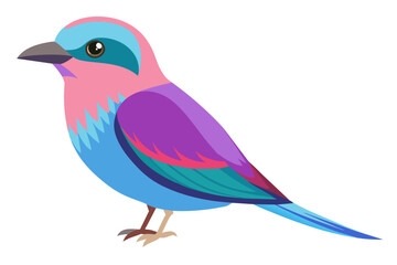 Lilac breasted roller vector art illustration