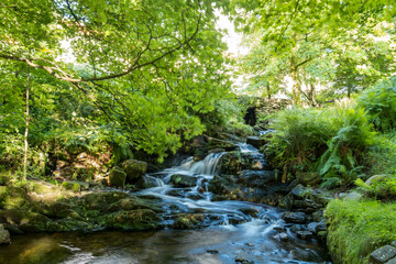 Little stream in Christieparken, Norway