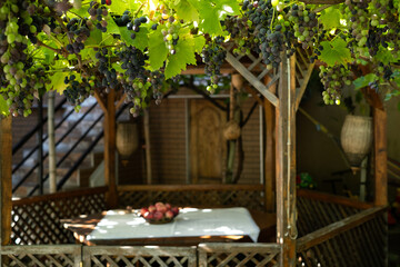 A wooden gazebo with ripe red and white grapes. The table is covered with a white tablecloth and ripe apples on the table.