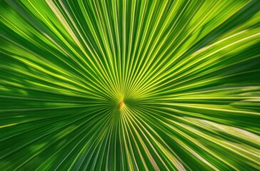 Symmetrical Green Palm Leaf Close-Up